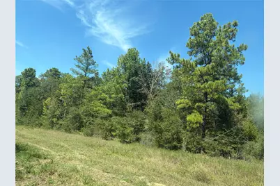 0000 Mocking Bird Lane, Plantersville, TX 77363 - Photo 4