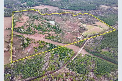 301 Paul Poe Road, Livingston, TX 77351 - Photo 8