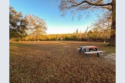 301 Paul Poe Road, Livingston, TX 77351 - Photo 46