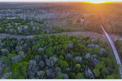 301 Paul Poe Road, Livingston, TX 77351 - Photo 12