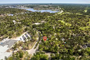 1 Cape Chestnut Dr, The Woodlands, TX 77381 - Photo 48