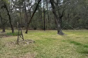 26603 Leafton Ln, Magnolia, TX 77354 - Photo 34