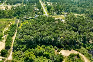 23501 Cranefly Ln, New Caney, TX 77357 - Photo 6