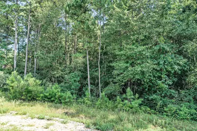 Lot 99 Red Hawk Road, Huntsville, TX 77340 - Photo 6