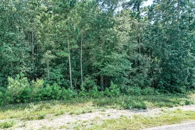 Lot 99 Red Hawk Road, Huntsville, TX 77340 - Photo 2