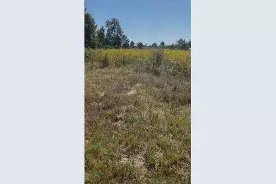 388 County Road 5017, Cleveland, TX 77327 - Photo 4