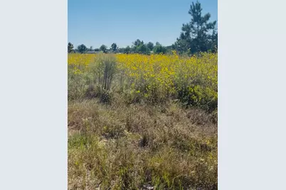 388 County Road 5017, Cleveland, TX 77327 - Photo 2