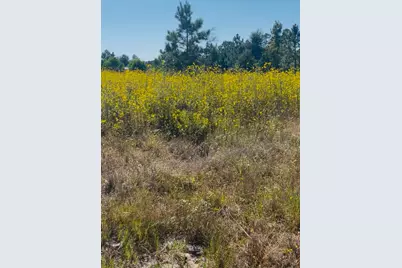 388 County Road 5017, Cleveland, TX 77327 - Photo 6