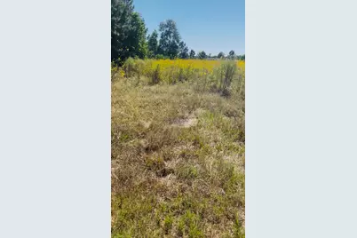 388 County Road 5017, Cleveland, TX 77327 - Photo 1