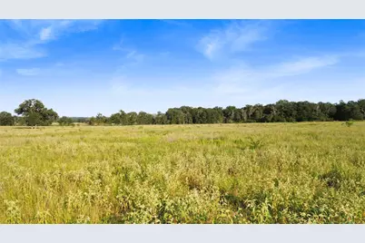 727 Buckhorn Creek Drive, Crockett, TX 75835 - Photo 4