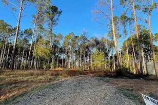 11333 Annie Creek Dr, Willis, TX 77378 - Photo 1