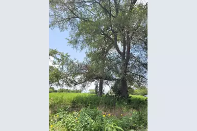 10557 Roy Road, Flatonia, TX 78941 - Photo 4