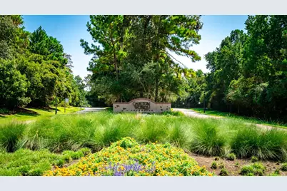 7 Primm Valley Ct, The Woodlands, TX 77389 - Photo 1