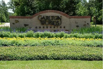 7 Primm Valley Ct, The Woodlands, TX 77389 - Photo 1