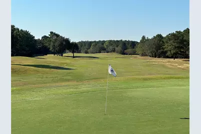 18556 Michaels Run, Montgomery, TX 77316 - Photo 10