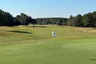 18556 Michaels Run, Montgomery, TX 77316 - Photo 10