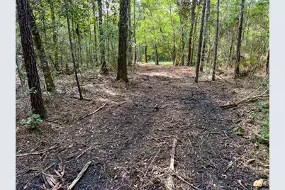 03 Fm 787, Saratoga, TX 77585 - Photo 16