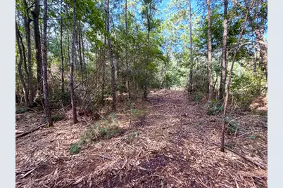 03 Fm 787, Saratoga, TX 77585 - Photo 12