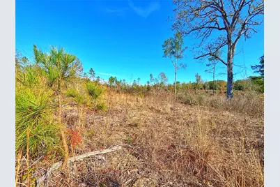 Tract 1 N Farm To Market 2022, Grapeland, TX 75844 - Photo 2