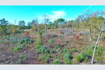 Tract 1 N Farm To Market 2022, Grapeland, TX 75844 - Photo 12