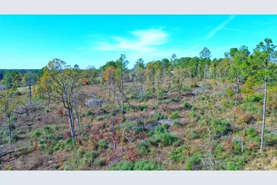 Tract 1 N Farm To Market 2022, Grapeland, TX 75844 - Photo 10