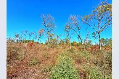 Tract 1 N Farm To Market 2022, Grapeland, TX 75844 - Photo 1