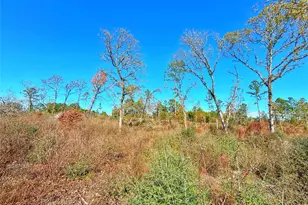 Tract 1 N Farm To Market 2022, Grapeland, TX 75844 - Photo 1