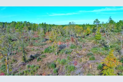 Tract 1 N Farm To Market 2022, Grapeland, TX 75844 - Photo 6