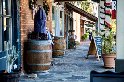 Tbd Sunny Hills, Lot 1 Drive, Chappell Hill, TX 77426 - Photo 14