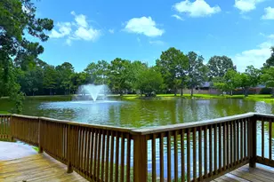 13722 McKinney Creek Ln, Houston, TX 77044 - Photo 24