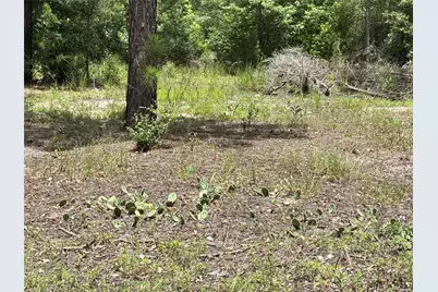 1603 Dammom Lane, Kountze, TX 77663 - Photo 6