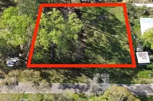 0 Burning Tree Ln, New Caney, TX 77357 - Photo 8