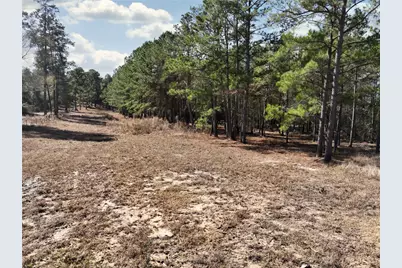 12082 Highway 30, Anderson, TX 77830 - Photo 8