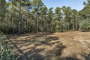 12903 Elrod St, Conroe, TX 77303 - Photo 42