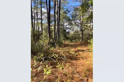 12903 Elrod Street, Conroe, TX 77303 - Photo 48