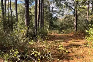 12903 Elrod St, Conroe, TX 77303 - Photo 48