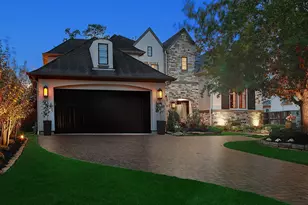 46 Pine Brook Ct, Shenandoah, TX 77381 - Photo 2