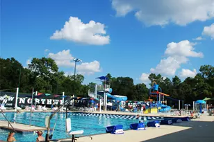 17310 Wyeth Cir, Spring, TX 77379 - Photo 46