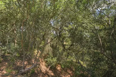 6887 Von Ormy Road, Von Ormy, TX 78073 - Photo 38