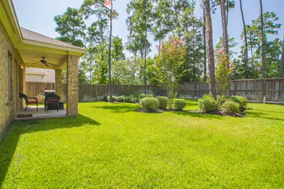 166 Tortoise Creek Way, Spring, TX 77389 - Photo 42