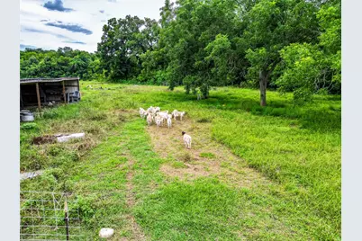 38929 Sampson Road, Brookshire, TX 77423 - Photo 8