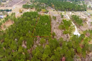 247 County Rd 688, Dayton, TX 77535 - Photo 2