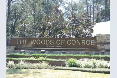 4022 Timber Sapp Drive, Conroe, TX 77304 - Photo 2