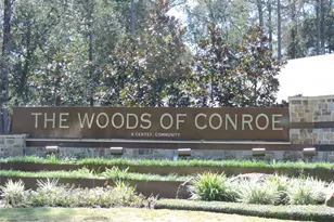 4022 Timber Sapp Dr, Conroe, TX 77304 - Photo 2