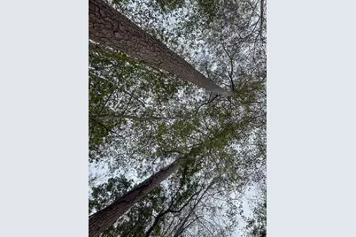 Tbd County Road 1520, Warren, TX 77664 - Photo 6