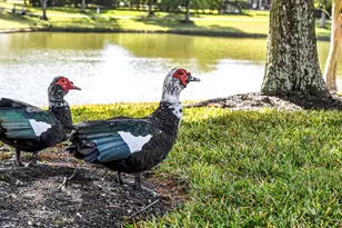 1412 Cabot Lakes Dr, League City, TX 77573 - Photo 50