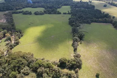 Tbd-A County Road 435, Frankston, TX 75763 - Photo 2