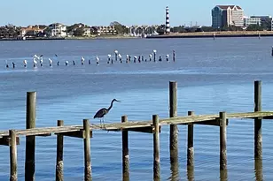 2414 Baycrest Dr, Houston, TX 77058 - Photo 48