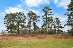 7530 Fm 227 W, Grapeland, TX 75844 - Photo 30