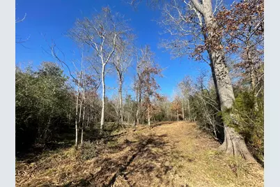 Lot 5 E Fm 942, Camden, TX 75934 - Photo 12